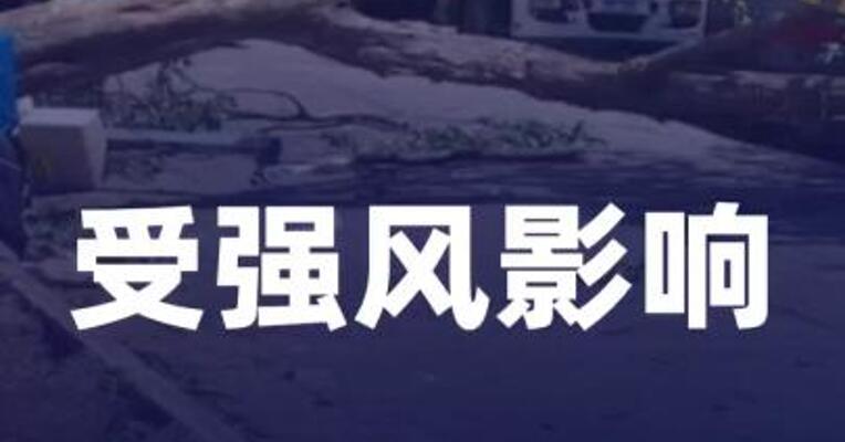 受强风影响 巴西超110万用户停电