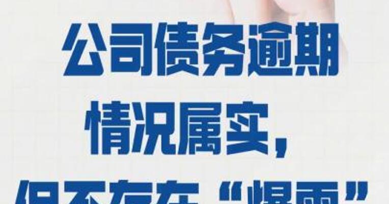 新大洲A： 公司债务逾期情况 属实，但不存在“爆雷”