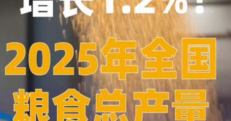2025年全国粮食总产量 14298亿斤 增长1.2%