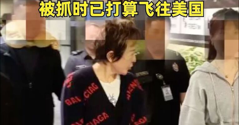 涉案金额高达9.7亿元，深大通集团实控人姜剑妻子郝斌被遣返
