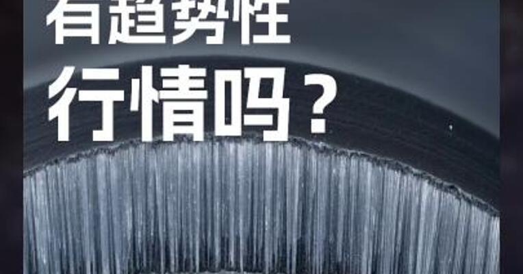 多晶硅 有趋势性 行情吗？
