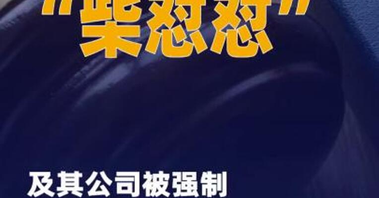“柴怼怼”及其公司被强制 执行208万