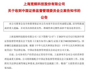 这家A股公司，被证监会立案！