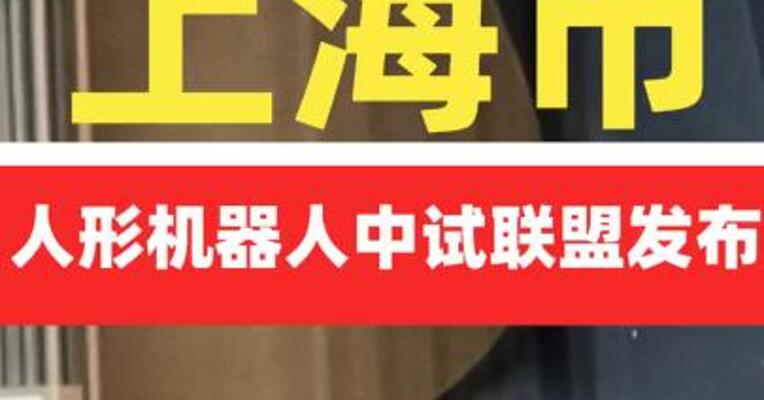 上海市人形机器人中试联盟发布
