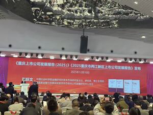 发力补缺口！重庆多维施策推动上市公司扩容，目标2027年总数突破160家