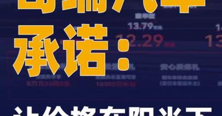 奇瑞汽车承诺：让价格在阳光下运行