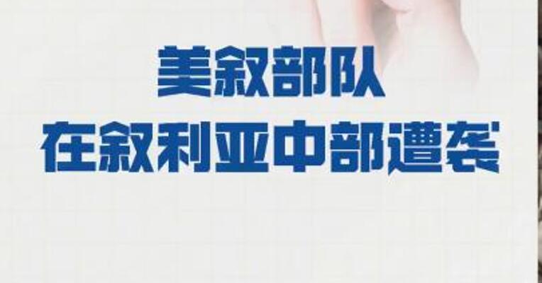 美叙部队在叙利亚中部遭袭