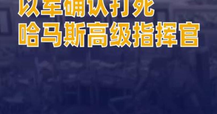 以军确认打死 哈马斯高级指挥官 拉德·萨阿德