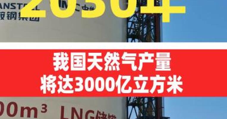 2030年我国天然气产量将达3000亿立方米
