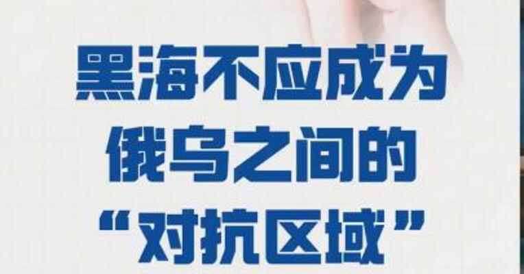 土耳其总统： 黑海不应成为 俄乌之间的“对抗区域”