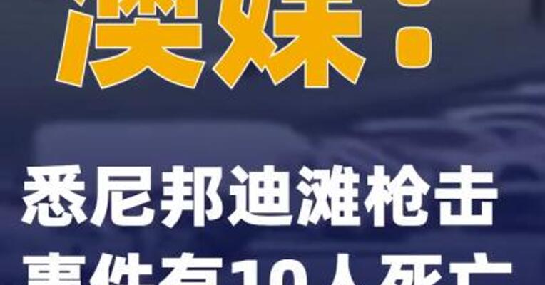 澳媒：悉尼邦迪滩枪击事件有10人死亡