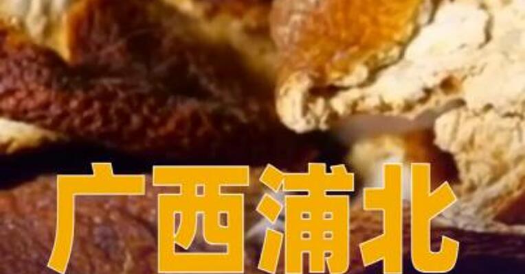 广西浦北通报“速成工艺陈皮”