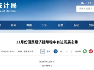 重要经济数据发布！4.8%，1.3%！国家统计局：11月份国民经济延续稳中有进发展态势