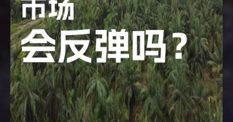 油脂 市场 会反弹吗？