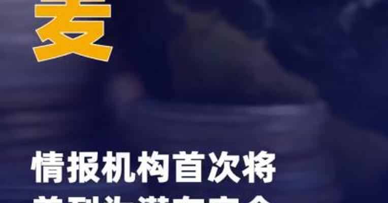 丹麦情报机构首次 将美列为潜在安全威胁