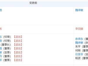 余承东任华为终端公司董事长！