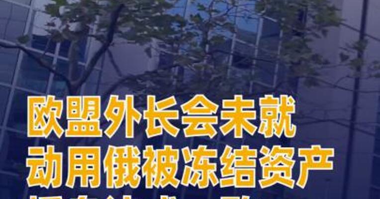 欧盟外长会未就动用俄被冻结资产援乌达成一致