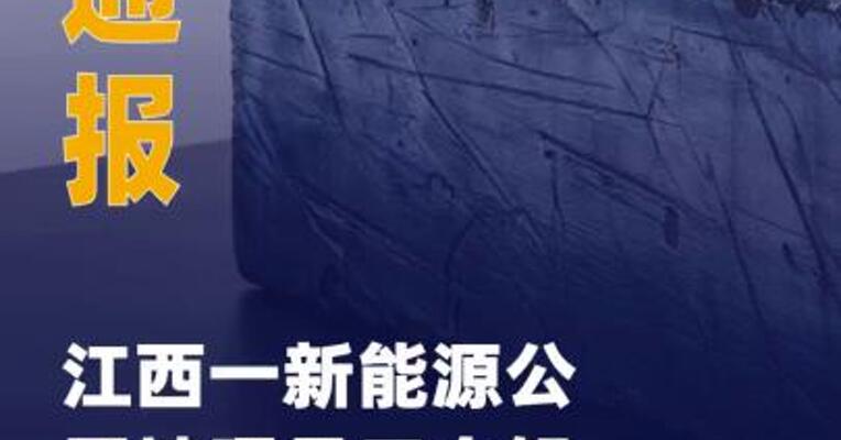 江西一新能源公司被曝 员工血铅异常，官方通报