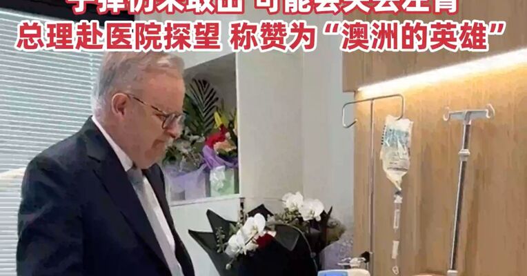 悉尼枪击事件中英勇夺枪男子留遗言: 告诉我家人，我为救人而倒下，澳总理赴医院探望夺枪英雄