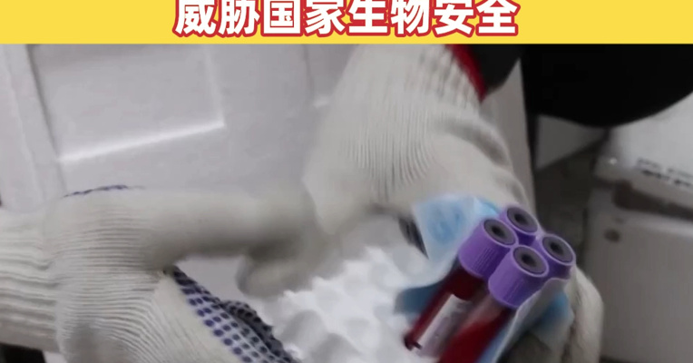 海关破获特大走私孕妇血样系列案，走私出境样本超10万人份，涉23个省份！走私孕妇血样触犯法律，威胁国家生物安全