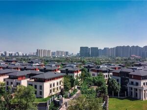 播放量超2亿！“成都高新造”短剧多平台霸榜