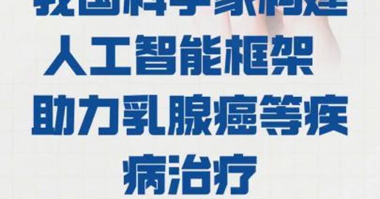 我国科学家 构建人工智能框架 助力乳腺癌等疾病治疗