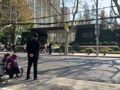 直击“全国地王”安澜上海项目认筹首日：现场严防死守，最贵一套1.46亿元