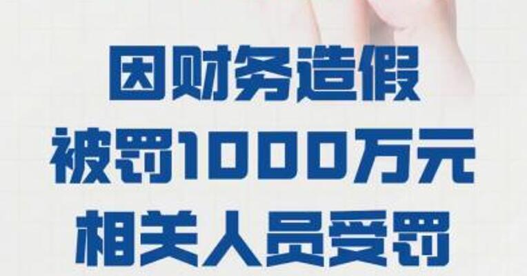 贵州百灵： 因财务造假被罚1000万元 相关人员受罚