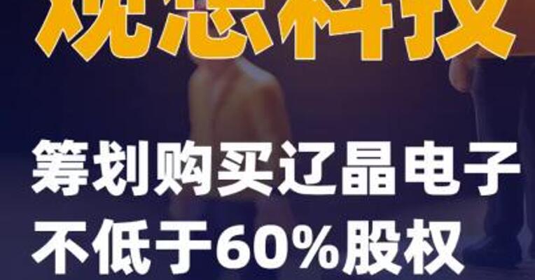 观想科技：筹划购买辽晶电子不低于60%股权