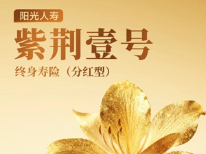 从保障到服务：阳光人寿以“紫荆壹号”打造家庭综合金融解决方案