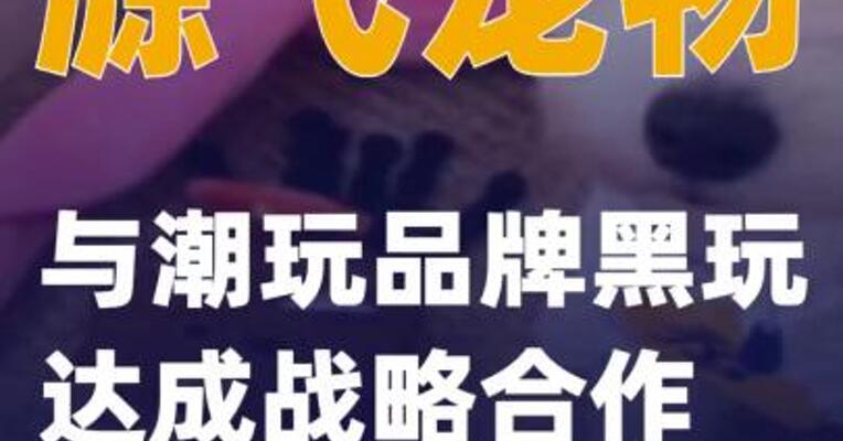源飞宠物与潮玩品牌黑玩达成战略合作