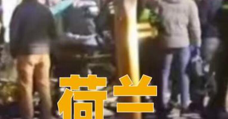荷兰发生汽车冲撞人群事件， 造成9人受伤