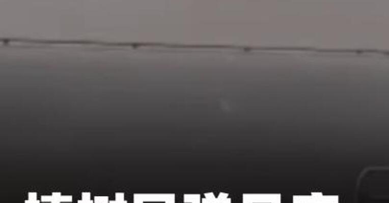 榛树导弹月底在白俄进入战斗 值班