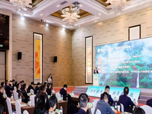 成都都市圈东进“链”接长三角：一场跨越千里的文旅产业价值对话