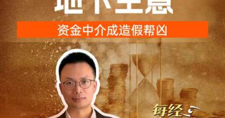 A 股财报美化地下生意资金中介成造假帮凶