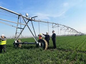 邮储银行为年度汉字“韧”写下金融注脚：以向下扎根的定力，书写服务实体经济金融“五篇大文章”