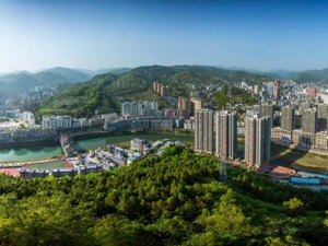 从“一只羊”到全产业链 南江黄羊如何撬动县域经济高质量发展