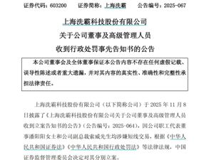 涉短线交易！上海洗霸，董事和高管被罚