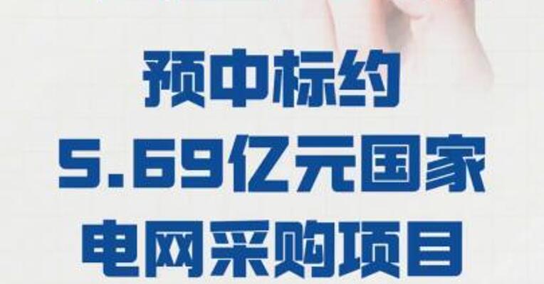 宏盛华源： 预中标约5.69亿元 国家电网采购项目