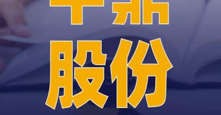 中鼎股份：全资子公司拟 设合资公司