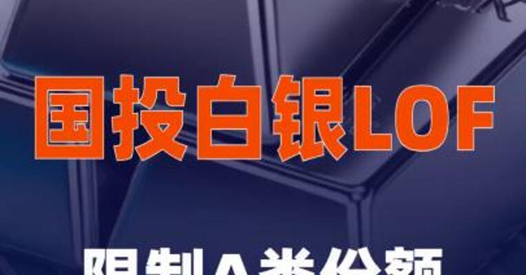 国投白银LOF：限制A类份额定投为100元