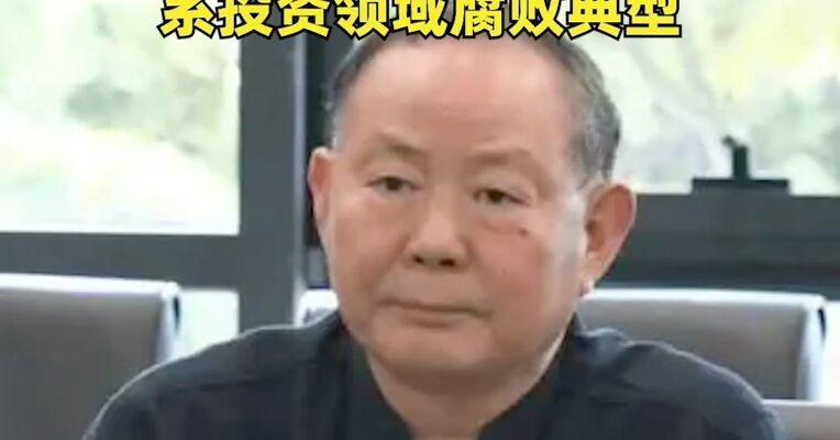 中国人寿保险（集团）公司原党委书记、总裁杨超被开除党籍