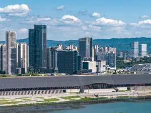 竞逐万亿赛道，四川何以炼成“最强引擎”？