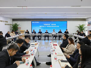 从“面对面”到“肩并肩” 成都为新型显示企业打造全天候服务生态