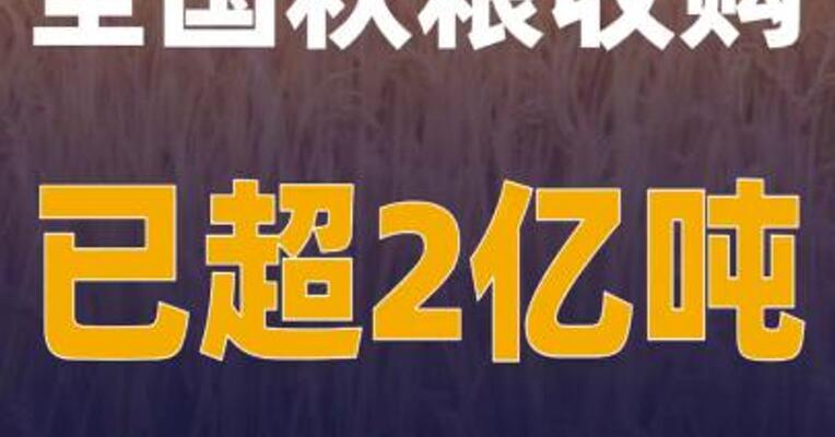 全国秋粮收购已超2亿吨