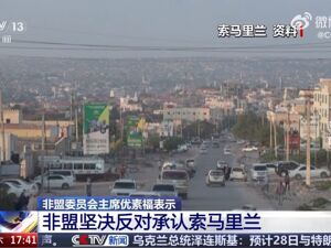 约旦、埃及、伊朗、伊拉克、巴基斯坦、沙特阿拉伯、土耳其等发表联合声明