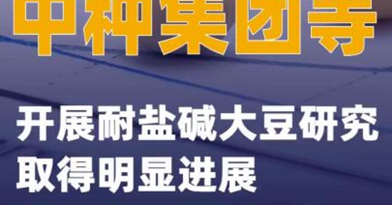 中种集团等开展耐盐碱大豆研究取得明显进展