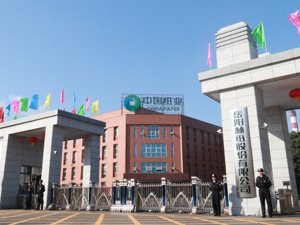 欧盟碳关税元旦正式实施！我国CCER市场倒逼升级，上市公司如何抢占全球绿色贸易先机？