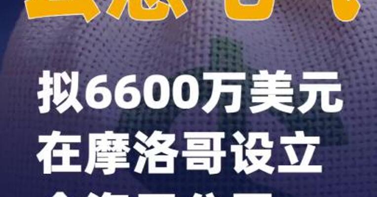 云意电气：拟6600万美元在摩洛哥设立全资子公司