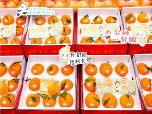 成都蒲江县首届“村糖会”元旦开幕 “两个替代”“三个零”农产品将登场